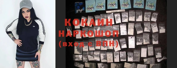 шишки Беломорск
