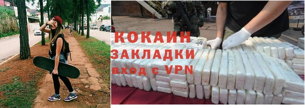 шишки Беломорск