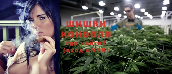 шишки Беломорск