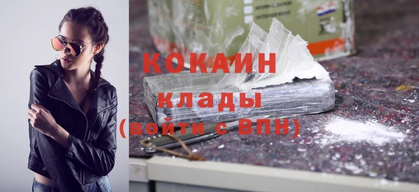 шишки Беломорск