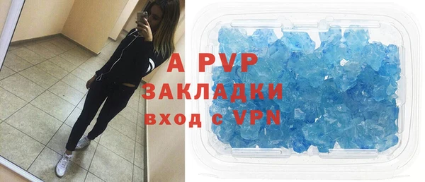 шишки Беломорск